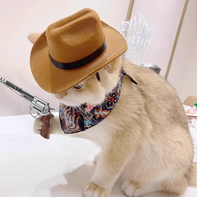  Cat Cowboy Hat Pet Head Acce - đánh giá và giá Cowboy Hat Straw